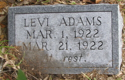 Levi S. Adams 