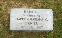 Harriet Daniel 