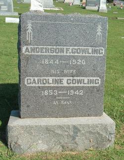 Anderson Fowler Cowling 