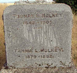 Thomas G Mulkey 