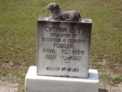 Cynthia Lynn Fowler 