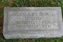 Condalaura <I>Flechas</I> Browne 