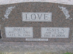 Agnes N. <I>Nation</I> Love 