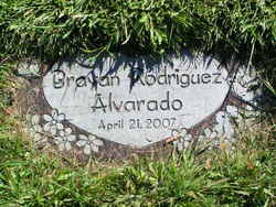 Brayan Rodriguez Alvarado 