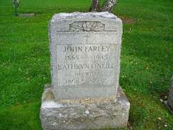 John W. Farley 