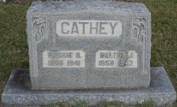 Walter J Cathey 