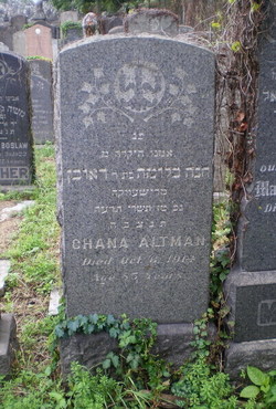 Chana Annie <I>Blume</I> Altman 
