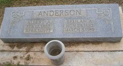 Albert Abner Anderson 