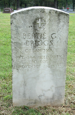 Pvt Bertie Gene Briggs 