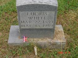 Lucius David White 