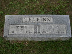 David M. Jenkins 