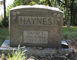 David Luster Haynes 