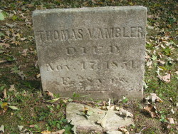 Thomas Vivian Ambler 