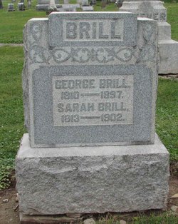 Sarah Ann Brill 