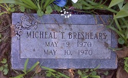 Micheal T. Breshears 
