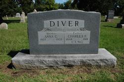 Anna Rebecca <I>Cook</I> Diver 