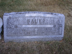 Anna Theresia <I>Schneider</I> Bauer 