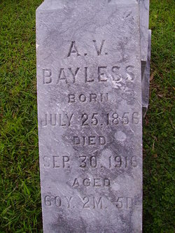 Andrew V Bayless 