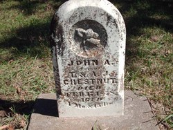John Alexander Chestnut 