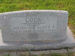 Joseph A Cook 