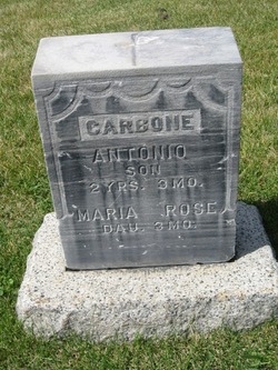 Maria Rose Carbone 