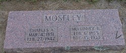 Melvinney Elizabeth <I>Hugghins</I> Moseley 