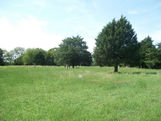 White Cemetery