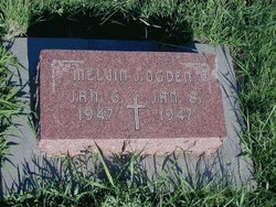 Melvin J. Ogden 