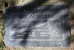 Agnes P <I>Pesek</I> Benson 