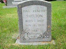 Tina Annette Shelton 