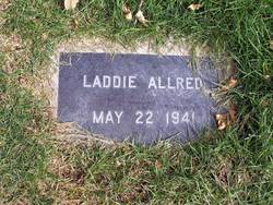 Laddie Allred 