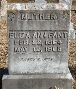 Eliza Ann <I>McAbee</I> Fant 