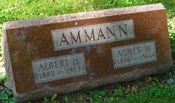 Albert H. Ammann 