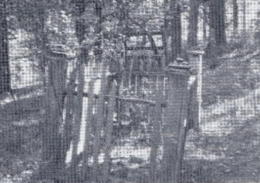 Harney City Cemetery