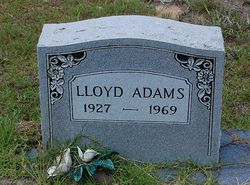 Lloyd Adams 