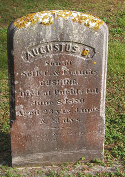 Augustus Cushing 
