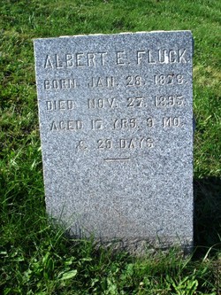 Albert E. Fluck 