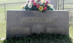 John Wilton Jenkins 