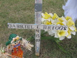 Gabriel L. Briggs 