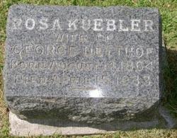 Rosa <I>Kuebler</I> Detthof 