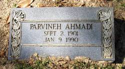 Parvineh Ahmadi 