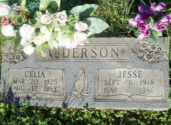 Jesse Alderson 