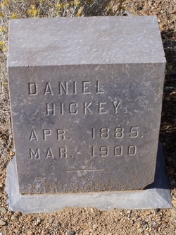 Daniel L Hickey 