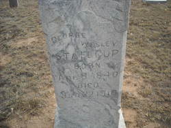 George Wesley Stallcup 