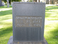 Andrew M Sparks 