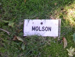 Molson 