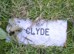 Clyde 