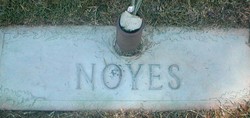 Noyes 