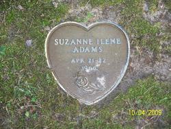 Suzanne Ilene Adams 