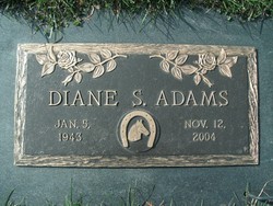 Diane Susan <I>Morrisey</I> Adams 